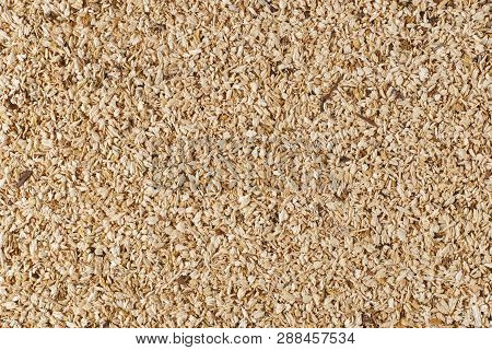 Background Texture Of Wood Dust, Close Up Image