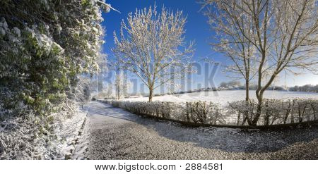 雪