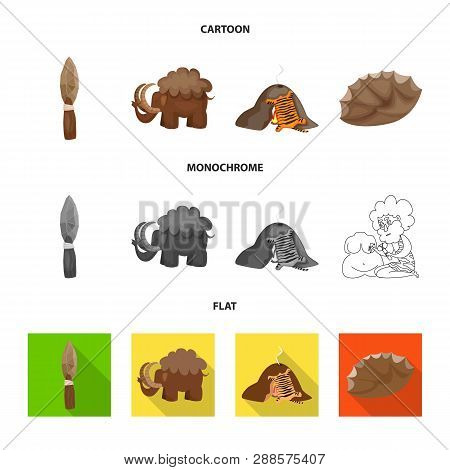 Vector Illustration Of Evolution  And Prehistory Logo. Set Of Evolution  And Development  Stock Vect