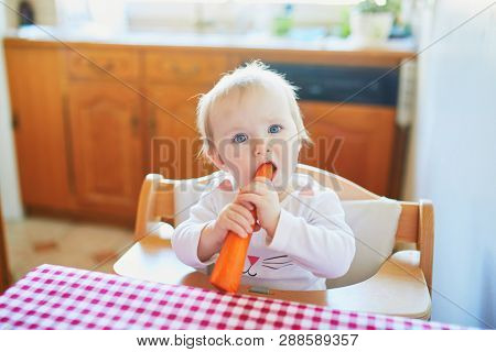 Cute Baby Girl Eating Carrot In The Kitchen. Little Kid Tasting Solids At Home. Baby Led Weaning
