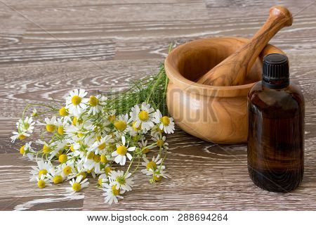 Chamomile Tincture