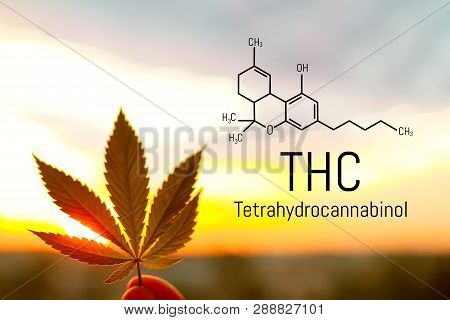 Medical Chemical Formula Hemp Thc. Molecular Structure Marijuana Tetrahydrocannabinol. Medical Canna