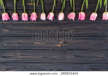 Row Of Pink Tulips On Rustic Wooden Background