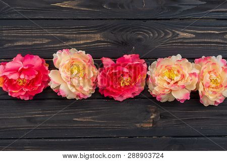 Beautiful Fresh Peonies On The Centre Of Dark Wooden Surface