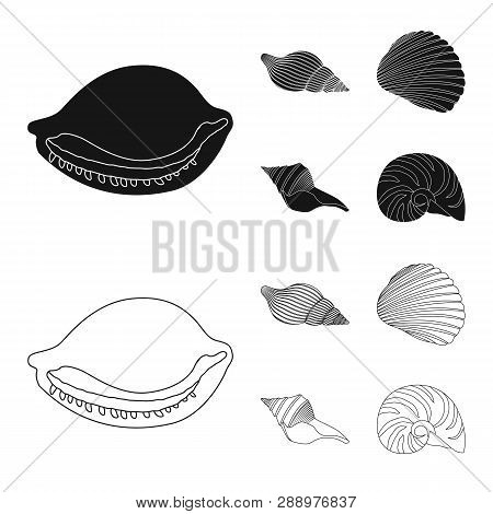 Vector Design Of Animal And Decoration Logo. Collection Of Animal And Ocean Vector Icon For Stock.