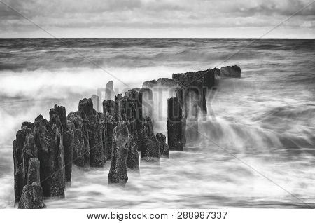 Sea Coast