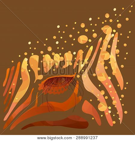 Zebra Wild Animals Graphics T-shirts Illustration Vector