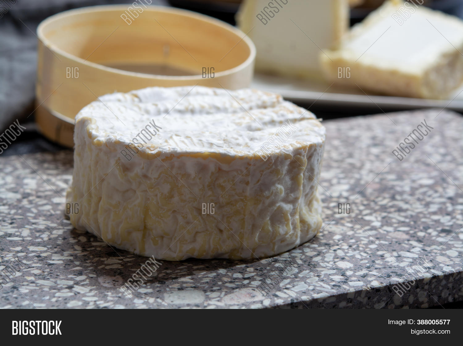 Cheese Collection Image Photo Free Trial Bigstock