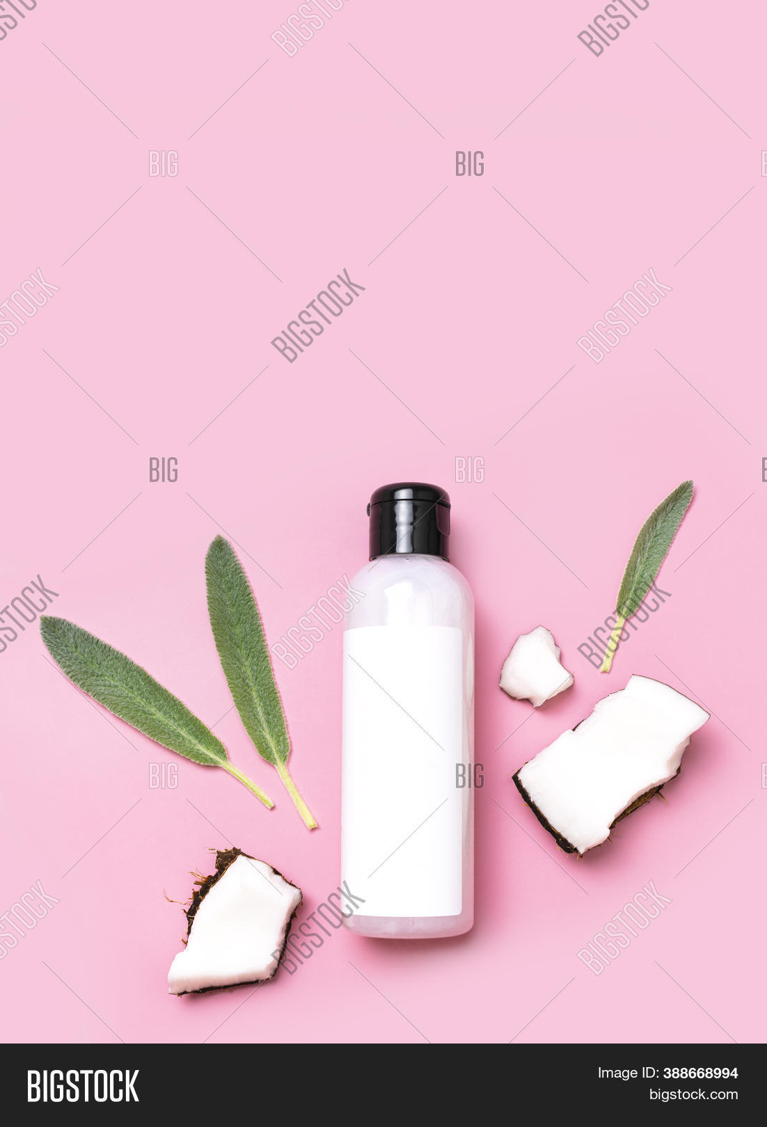 Download Natural Organic Eco Image Photo Free Trial Bigstock