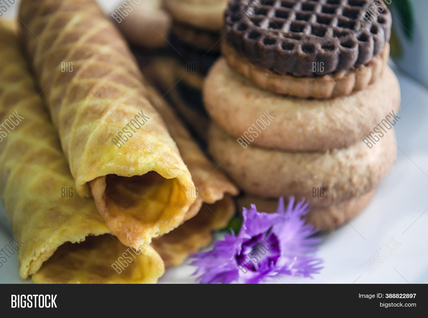 Waffle Rolls Cookies Image & Photo (Free Trial) Bigstock