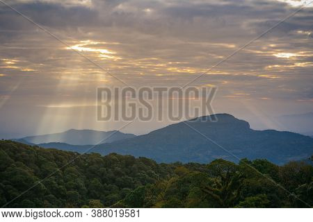 Landscape With Foggy Hills & Trees In Winter At Sunrise. Misty Morning Golden Sunrise, Vintage Film 