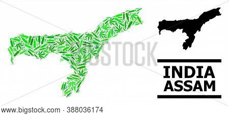 Addiction Mosaic And Usual Map Of Assam State. Vector Map Of Assam State Is Constructed Of Scattered