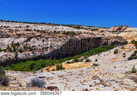 Upper Calf Creek Falls Views From The Hiking Trail Of Waterfalls Grand Staircase-escalante National 