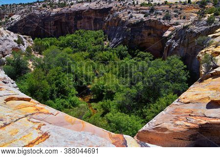 Upper Calf Creek Falls Views From The Hiking Trail Of Waterfalls Grand Staircase-escalante National 