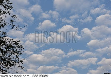 Beautiful Cloudy Blue Sky Background In Summer Morning