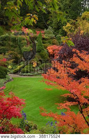 A Picture Of A Well-tended Garden With The Autumn Color.   Victoria Bc Canada