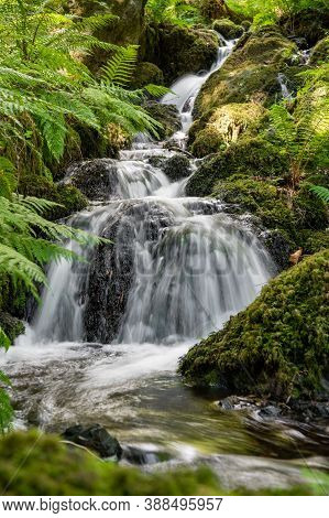 Long Esposure Of A Fresh Stream Flowing Over Rocks In A Forest