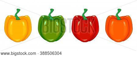 Set Of Paprika In Different Colors Isolated On White Background. Red, Green, Orange, Yellow Peppers 