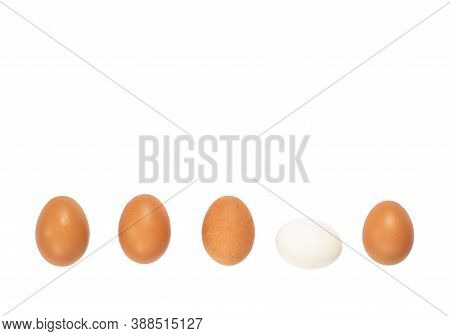 Five Brown Chicken Eggs In A Row Isolated Against A White Background. White, Brown, Beige Chicken Eg
