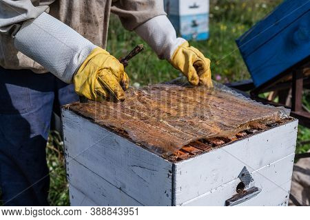 Beekeeper Opens The Beehouses Cover To Take Honey Out Of It