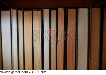 Book Spines Lined Up On The Shelf, Close-up, Learning And Education Concept.