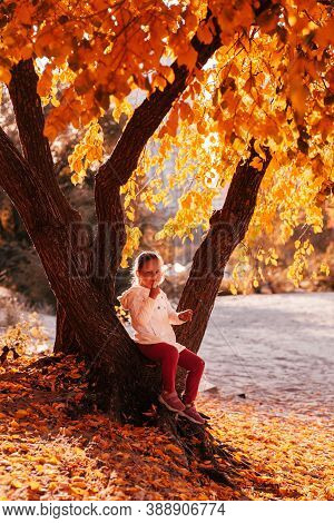 Happy Girl Sits On Root Of Autumn Tree And Asks To Calm Down, The Beauty Of Autumn Fallen Leaves On 