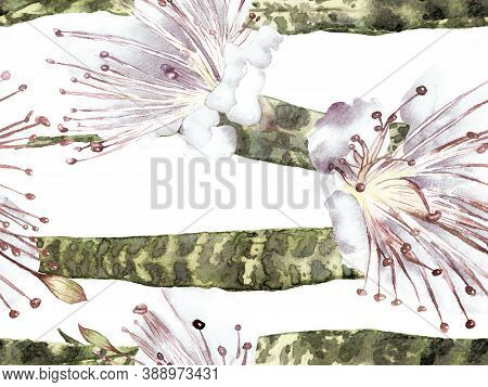 Summer Floral Background. Botanical Forest Illustration. Green And Aqua Menthe Watercolor Leaves Sea