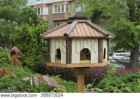 Bird Feeder In The Courtyards Of Houses. House For Feeding Birds. Caring For The Birds. Feeding The 