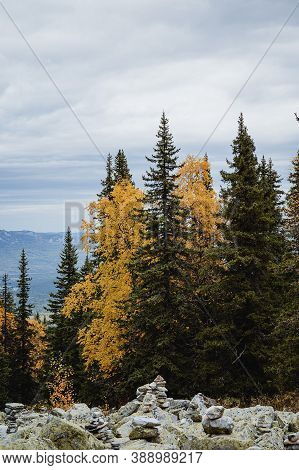 Large Kurum Stones Lie In The Autumn Forest In The Mountains, Stones Covered With Moss On The Backgr