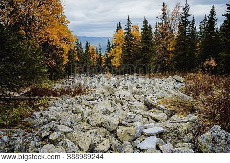 Large Kurum Stones Lie In The Autumn Forest In The Mountains, Stones Covered With Moss On The Backgr