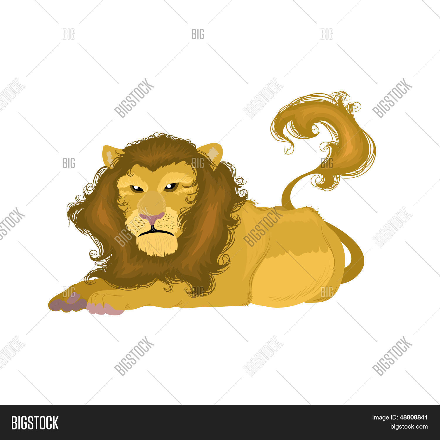 Image Preview