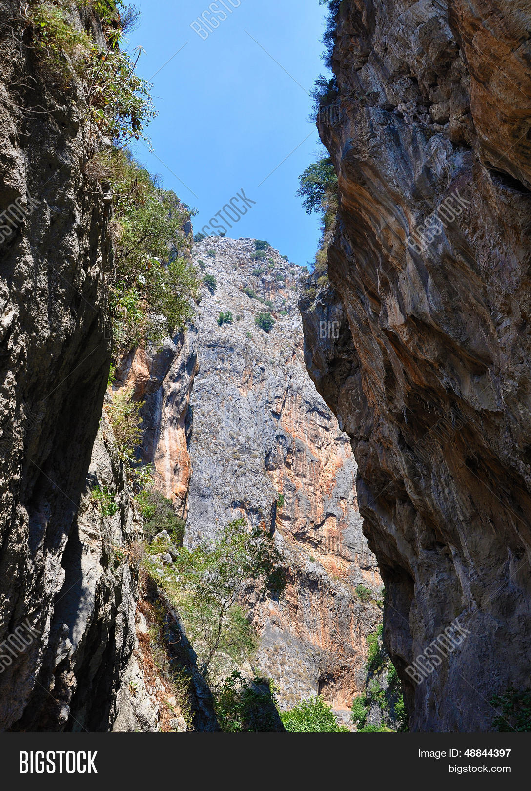 Image Preview