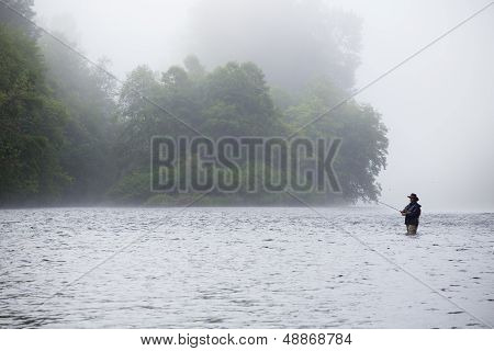 Experienced Fly Fisherman