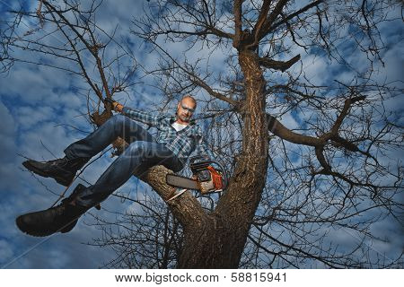 Do not cut the bough you are sitting on