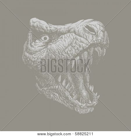 Tyrannosaurus Dinosaur . Hand drawn. Vector eps 8