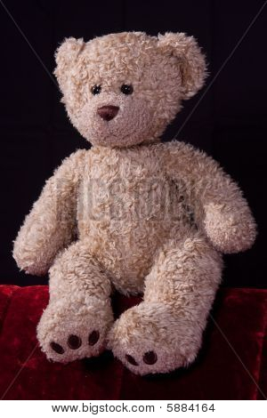 Oso de peluche