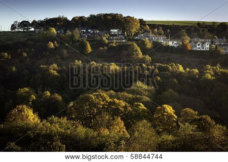 Hill Top Trees And Houses