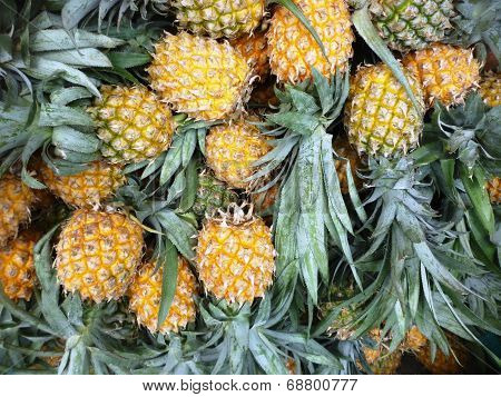 fresh honey pineapples