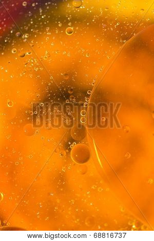 Cucurbitaceous oil drops scattered in a water