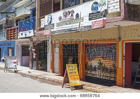 Animal Hospital