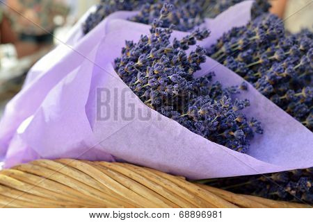 Lavender Flowers