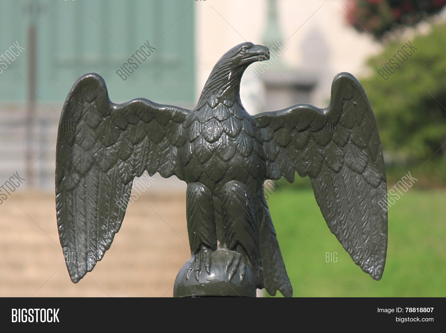 Image Preview