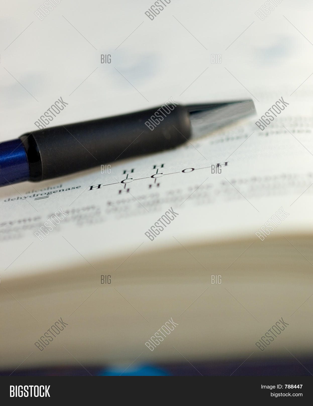 Image Preview