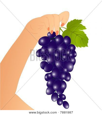 Uva in una mano