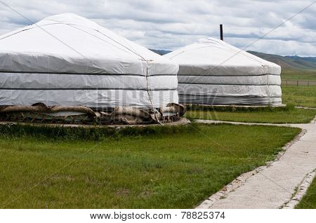 Yurt