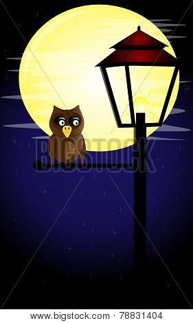 Owl sitting on the lantern
