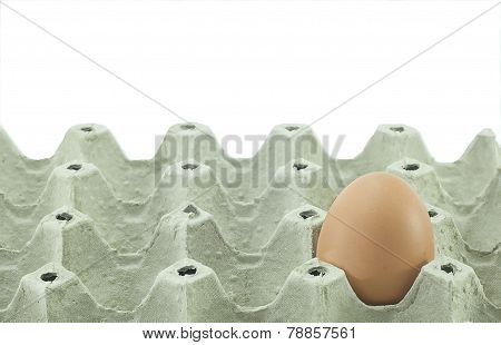 Eggs on egg crate
