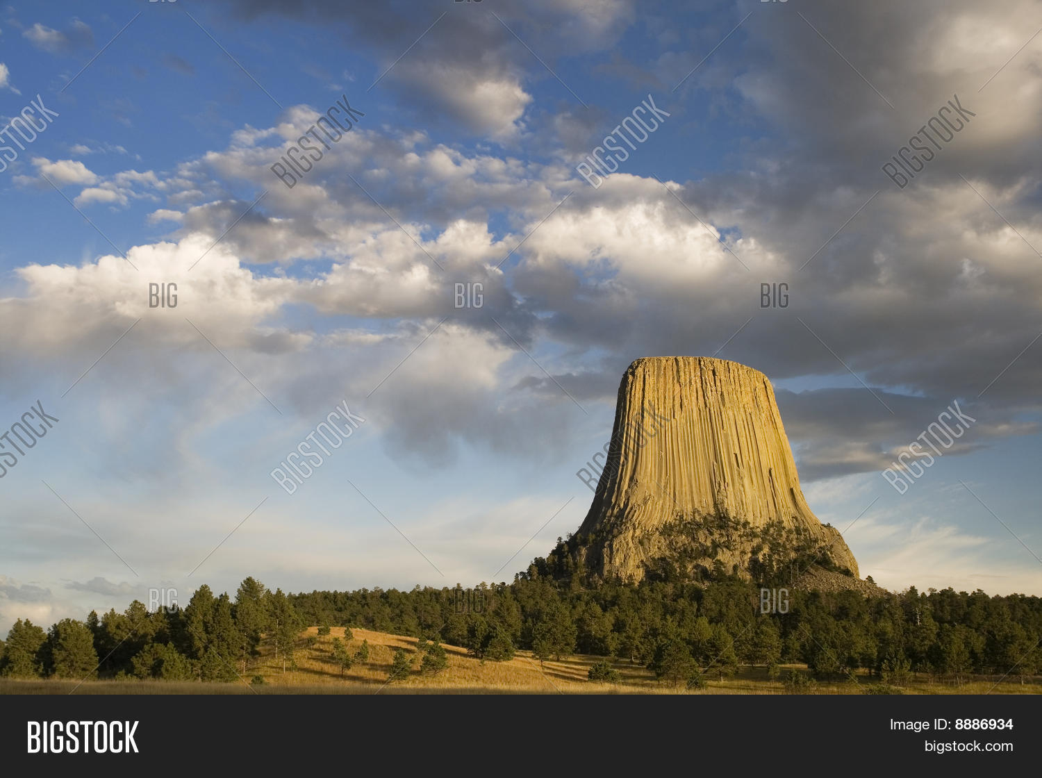 Image Preview