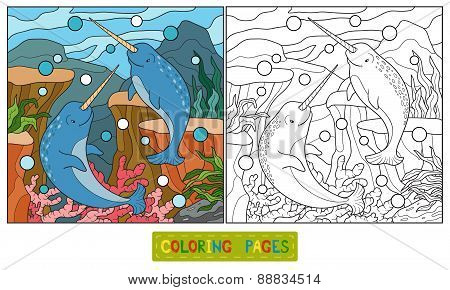 Coloring Book (narwhal)