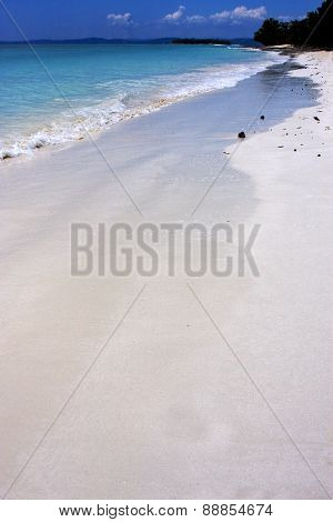 Sea In Mamoko